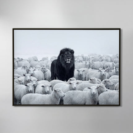 LION AMONG SHEEP
