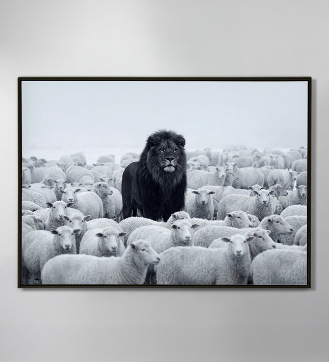 LION AMONG SHEEP